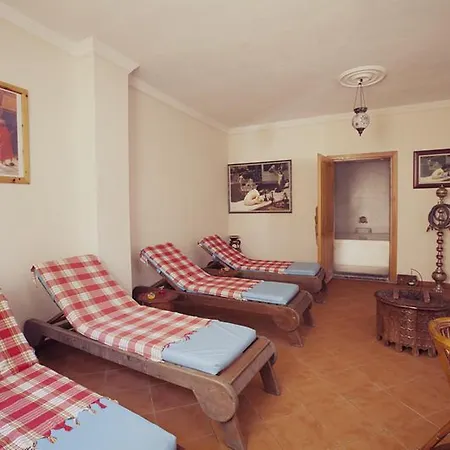 Cats Garden And Сиде